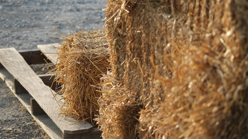 A photo of straw bales at Straight Line Fence