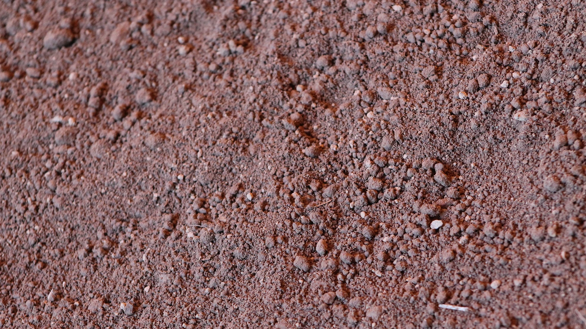 A photo of top soil from Straight Line Fence.